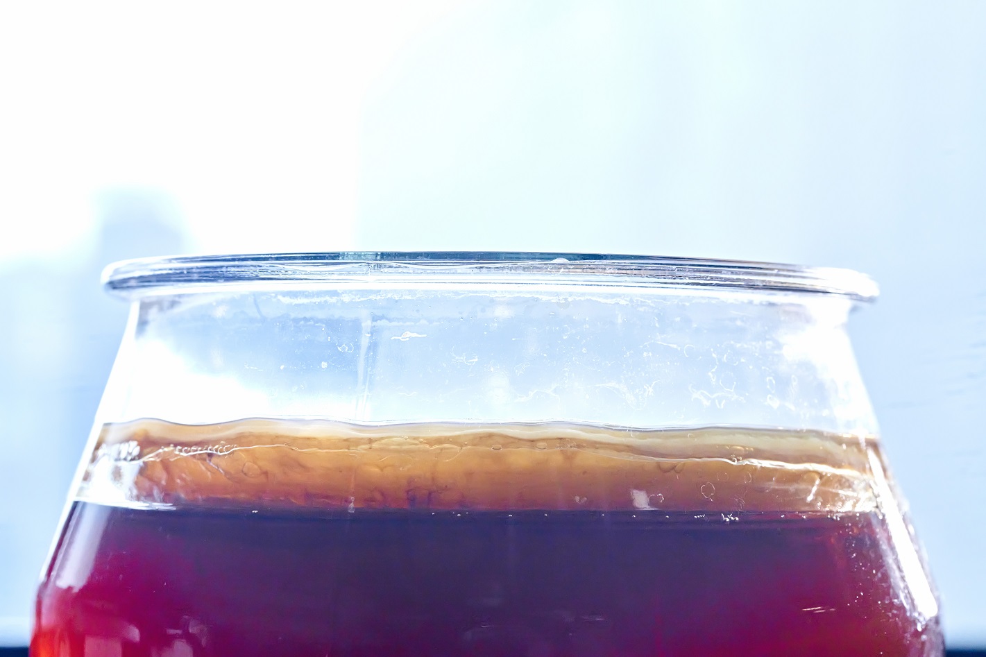 Bacterial Cellulose Leather Like Film