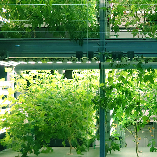 Open Lab fashion future lab