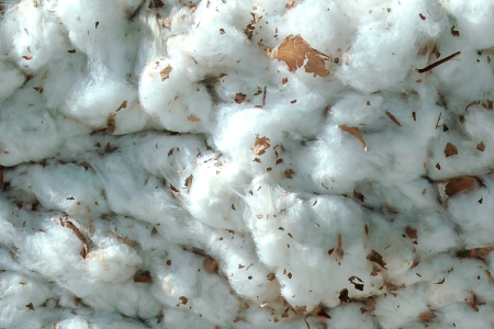 Ff Facilities Ginning